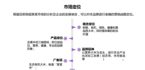 全方位企业营销策划方案——从战略到执行的实战指南