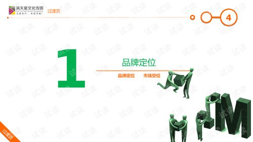 大米姐品牌营销策划案 商业计划书精品模板