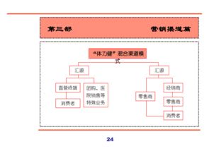 汇源集团新产品营销策划全案 以创新撬动果汁市场新增长